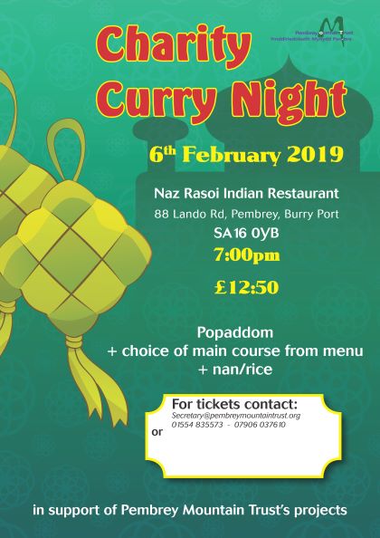 curry night poster